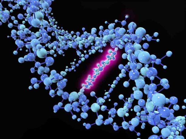 الطفرة النقطية هي طفرة جينية حيث يتم تغيير قاعدة النوكليوتيدات الفردية أو إدخالها أو حذفها من سلسلة من الحمض النووي أو الحمض النووي الريبي.