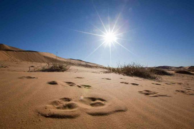 كثبان رملية ضد السماء الزرقاء والشمس الساطعة