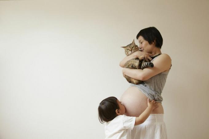 امرأة حامل مع قطة