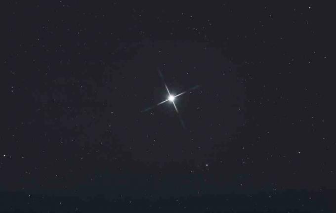 فيغا هي ألمع نجم كوكبة ليرا.