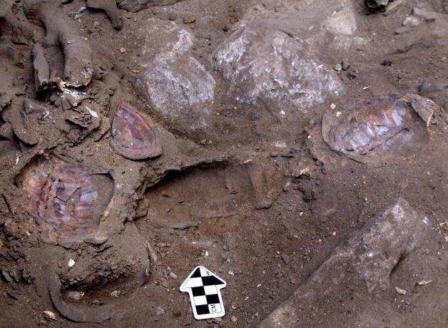 اكتشف علماء الآثار الإسرائيليون شي شامان دفن