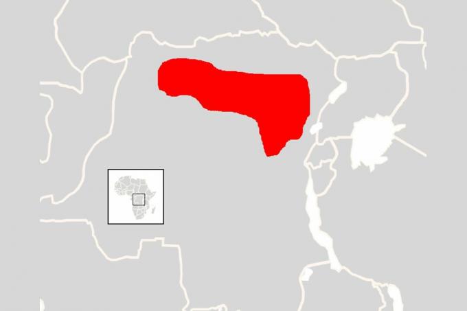 خريطة توزيع Okapi