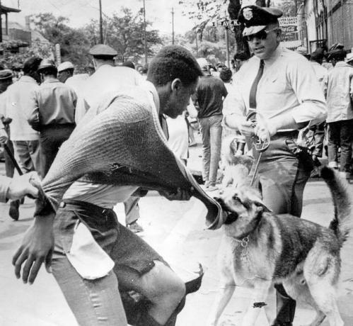 متظاهر أمريكي أسود يتعرض للهجوم من قبل كلب بوليسي خلال مظاهرات ضد الفصل العنصري ، برمنغهام ، ألاباما ، 4 مايو ، 1963.
