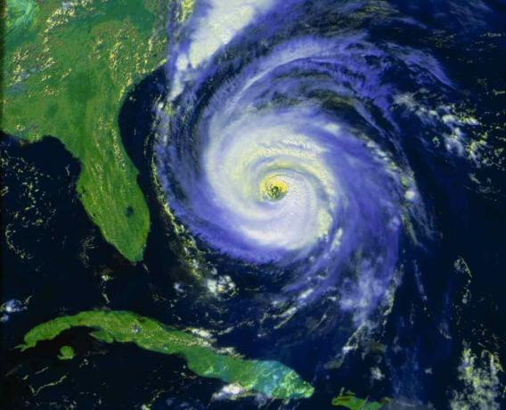 NOAA صورة الأقمار الصناعية لإعصار فران بالقرب من الولايات المتحدة الأمريكية