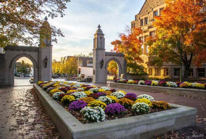 أحب مدرستي ، خاصة في فصل الخريف - جامعة إنديانا بلومنجتون