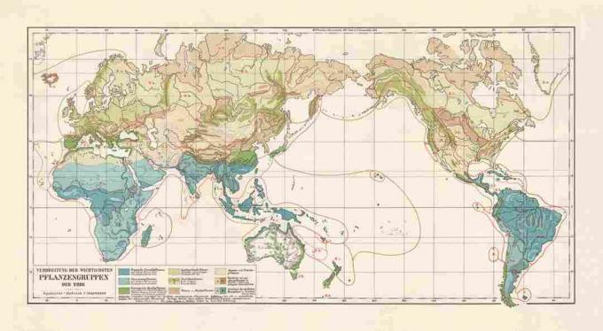 مناطق الغطاء النباتي في العالم ، الطباعة الحجرية ، نُشر عام 1897