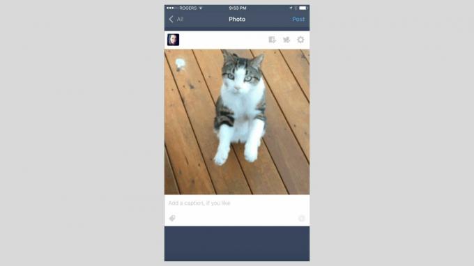لقطة شاشة لتطبيق Tumblr لنظام iOS.