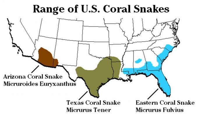 أنواع الثعابين المرجانية ونطاقها في الولايات المتحدة