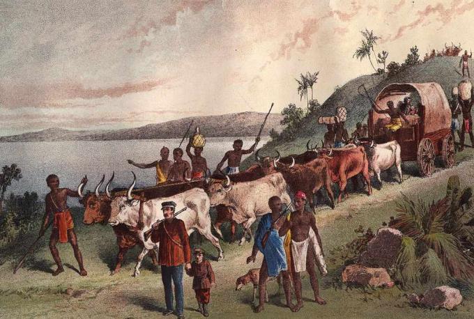 حوالي عام 1855: وصول المستكشف البريطاني ديفيد ليفينجستون واحتفل في بحيرة نغامي.
