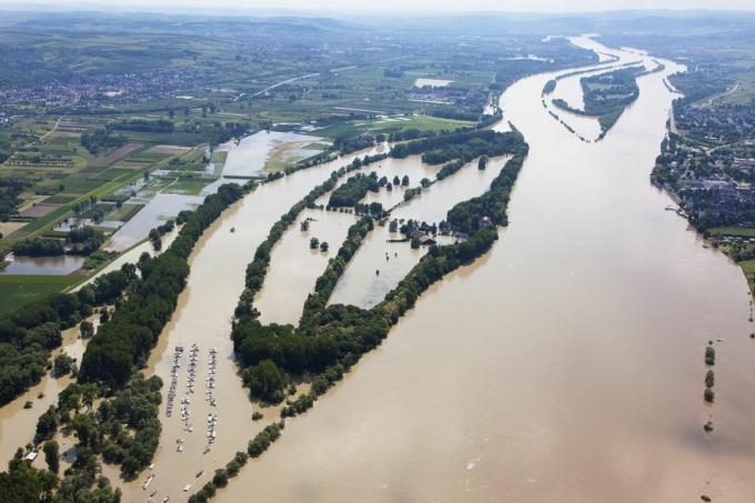 ألمانيا، هس، Eltville، غامر، بسبب، نهر الراين، أرض يحيط بها الماء، Koenigskling، Aue، الهوائي، photo