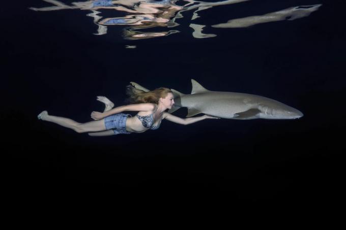 عادة ما يكون الغواصون آمنين حول أسماك القرش الممرضة وأسماك القرش الأخرى ، ولكن اللدغات تحدث عندما يتم إزعاج الأسماك أو استفزازها.